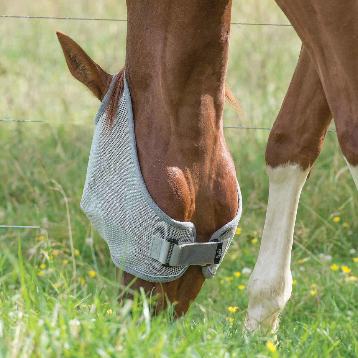 Covered Ear Fly Mask with Xtended Life Closure System