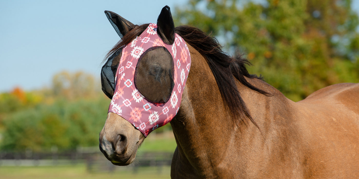 Horse with a Fly Mask