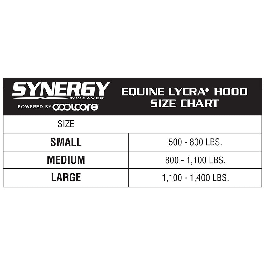 Synergy® Powered by Coolcore® Equine Lycra® Hood