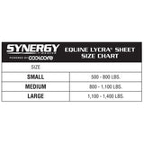 Synergy® Powered by Coolcore® Equine Lycra® Sheet