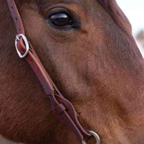 Working Tack Quick Change Single-Ply Headstall, Leather Tab Ends