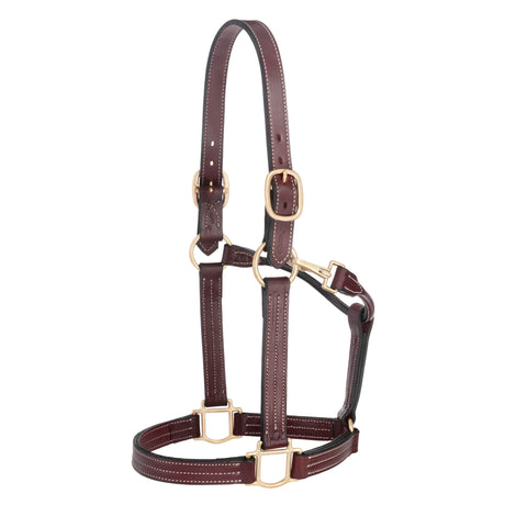 1-1/8" Thoroughbred Halter with Snap, Mahogany, Large