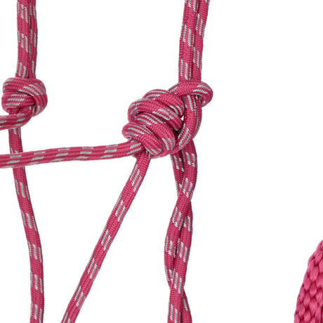 Diamond Braid Reflective Rope Halter with 10' Lead