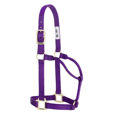 Original Non-Adjustable Halter, 1"