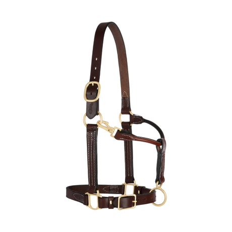 1" 3-in-1 All Purpose Halter, Horse