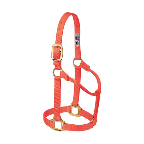 Original Non-Adjustable Halter, 1"