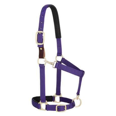 Padded Breakaway Adjustable Chin and Throat Snap Halter, Solid Colors