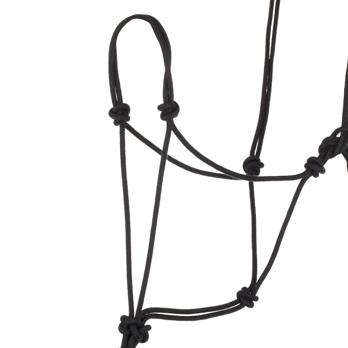 EcoLuxe™ Rope Halter with 10' Lead, Average