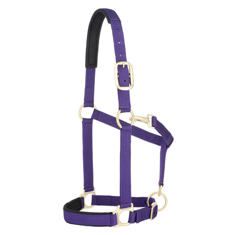 Padded Adjustable Chin and Throat Snap Halter, Solid Colors