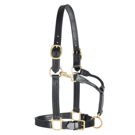 1" Track Halter, Black