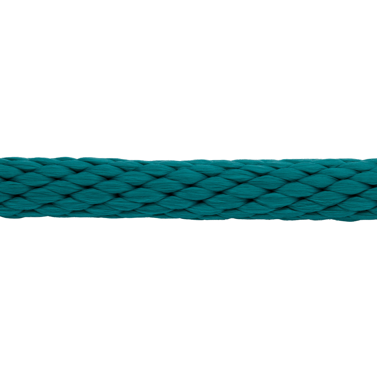 Value Lead Rope with Brass Plated 225 Snap