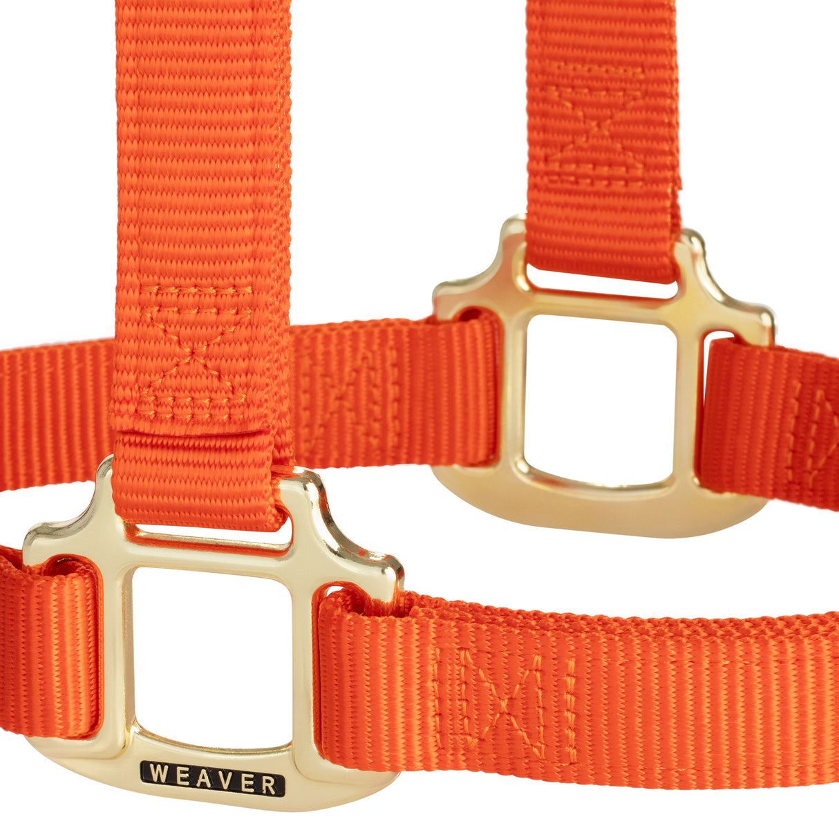 Original Non-Adjustable Halter, 1"