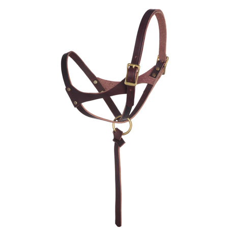 Figure 8 Foal Halter, Suckling