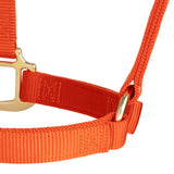 Original Non-Adjustable Halter, 1"