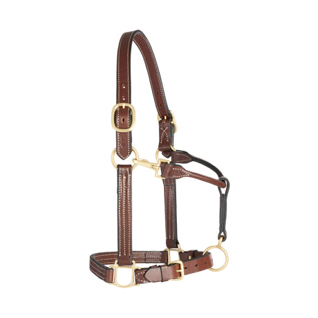 1" Track Halter