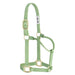 Original Non-Adjustable Halter, 1"