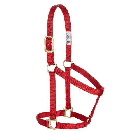 Basic Non-Adjustable Halter