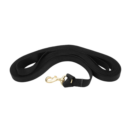 Flat Nylon Lunge Line, 1" x 30 with Snap