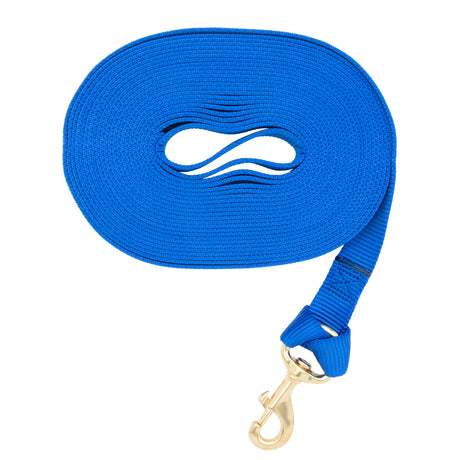 Flat Nylon Lunge Line, 1" x 30 with Snap