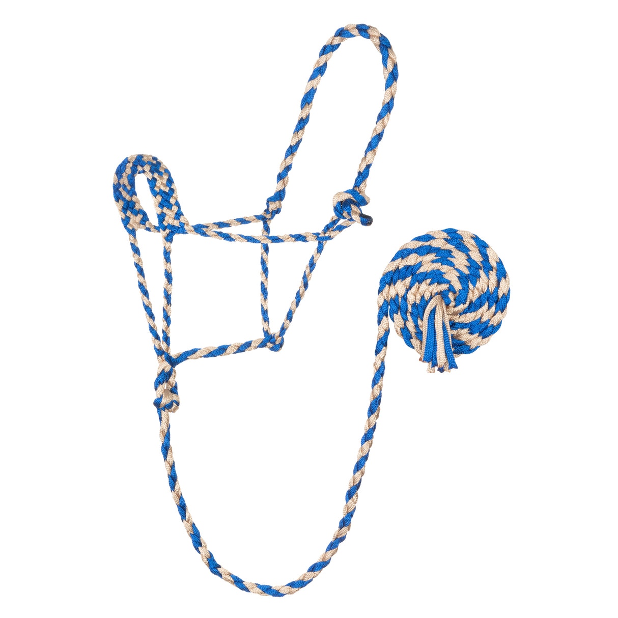 Braided Rope Halter with 10' Lead