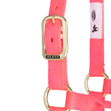 Original Non-Adjustable Halter, 1"