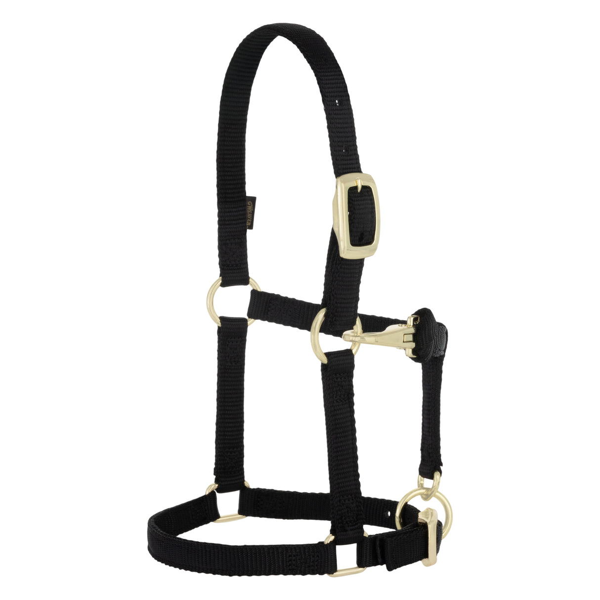 Miniature Horse Adjustable Chin & Throat Snap Halter