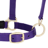 Padded Breakaway Adjustable Chin and Throat Snap Halter, Solid Colors