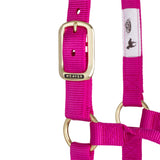 Original Non-Adjustable Halter, 1"