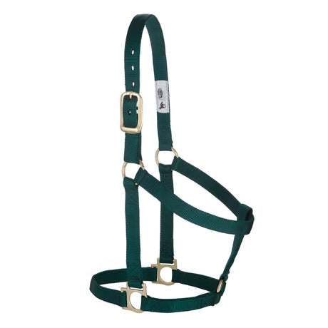 Basic Non-Adjustable Halter