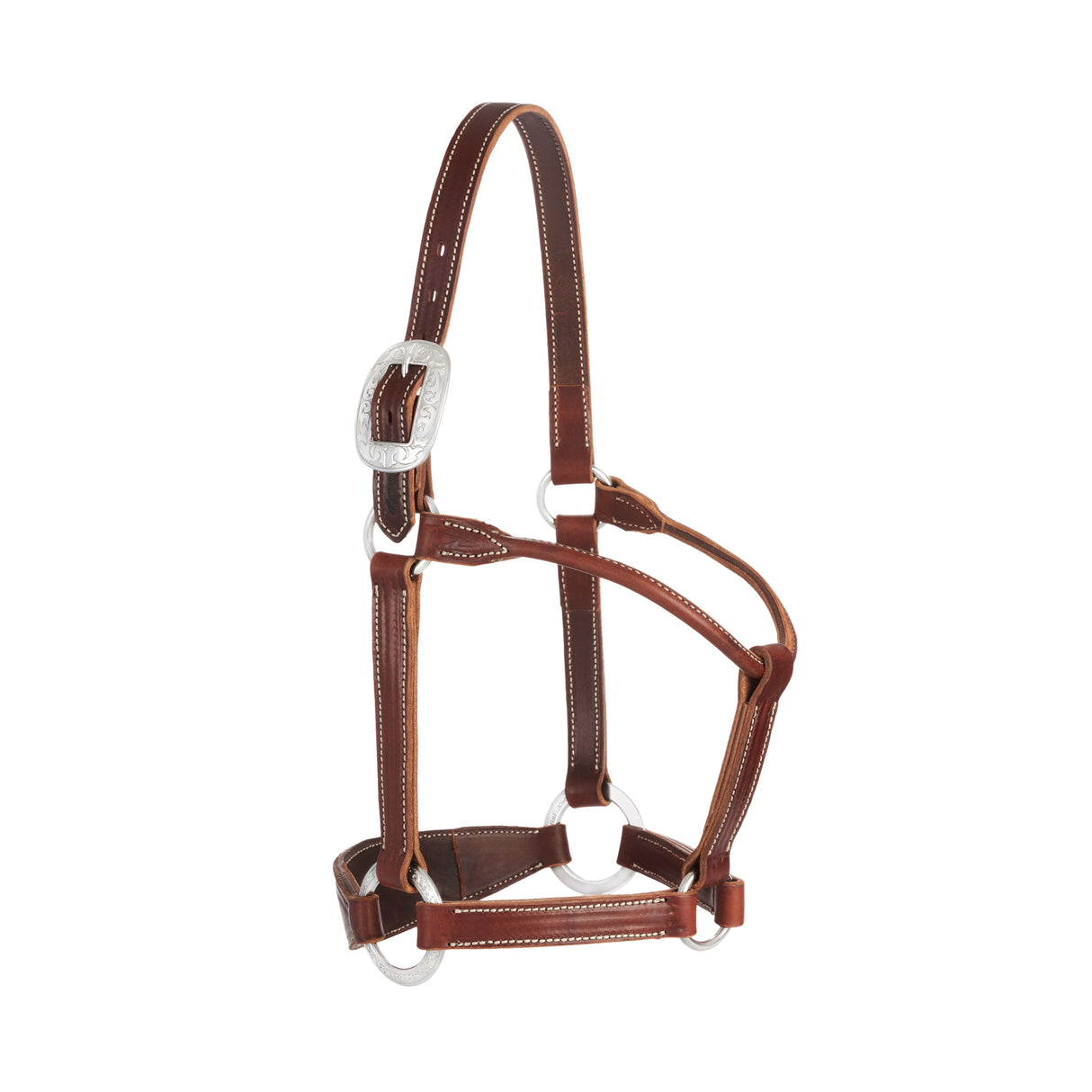 Stacy Westfall Bronc Halter, 1", Average