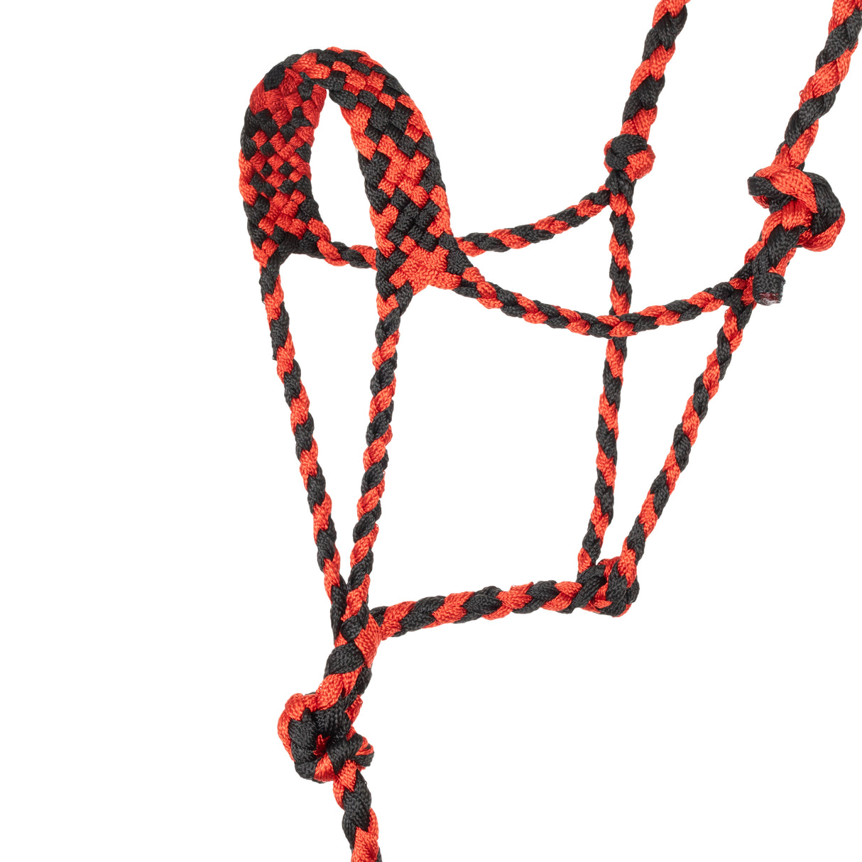 Braided Rope Halter with 10' Lead