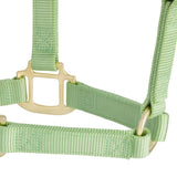 Original Non-Adjustable Halter, 1"