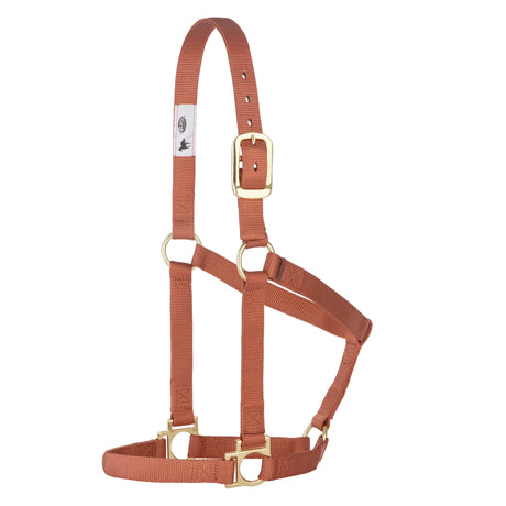 Basic Non-Adjustable Halter