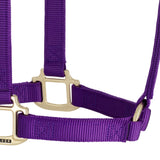 Original Non-Adjustable Halter, 1"