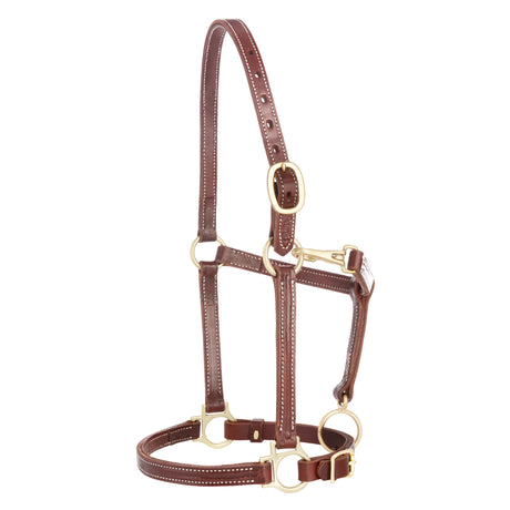 3/4" Track Halter, Mahogany