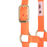 Original Non-Adjustable Halter, 1"