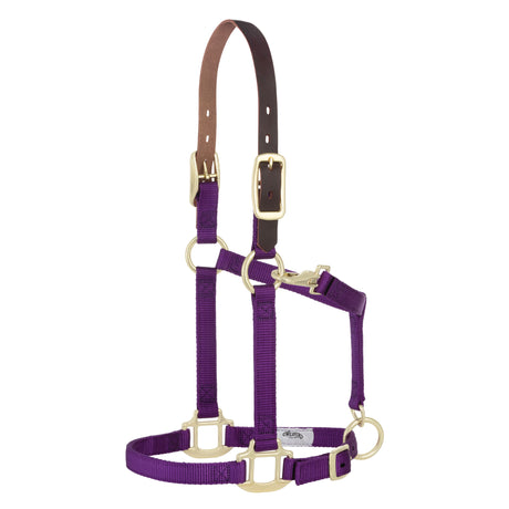 Breakaway Original Adjustable Chin and Throat Snap Halter, 3/4", Weanling/Pony