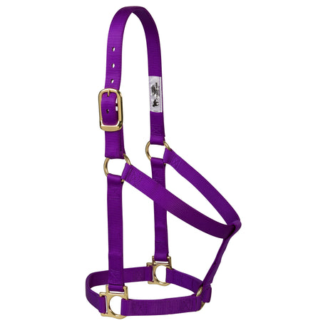 Basic Non-Adjustable Halter