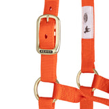 Original Non-Adjustable Halter, 1"