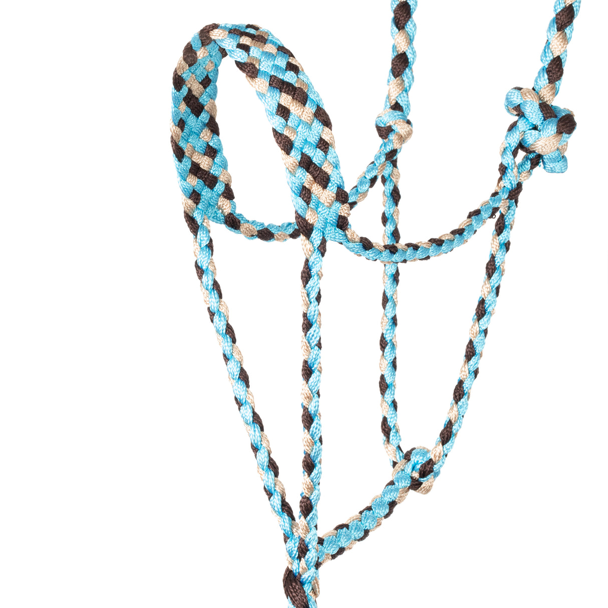 Braided Rope Halter with 10' Lead