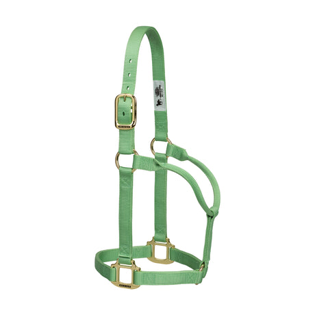 Original Non-Adjustable Halter, 1"