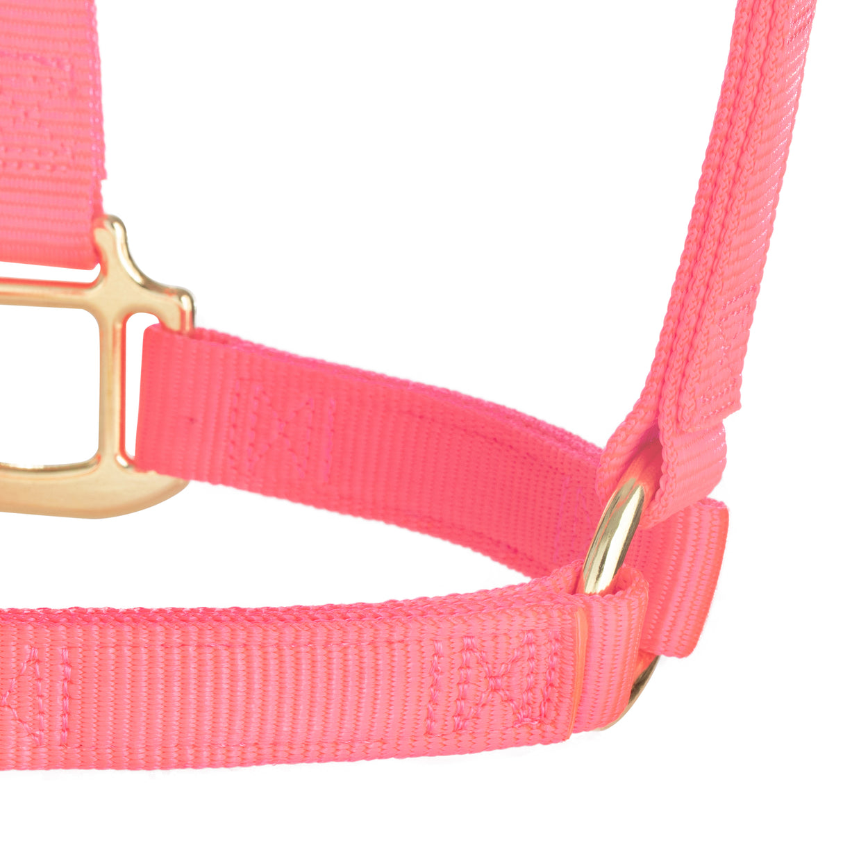 Original Non-Adjustable Halter, 1"