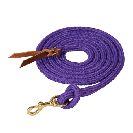 Poly Cowboy Lead with Snap, 5/8" x 10'