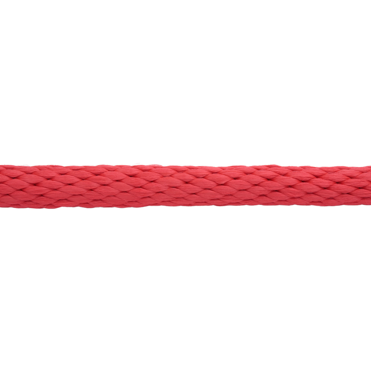 Value Lead Rope with Brass Plated 225 Snap