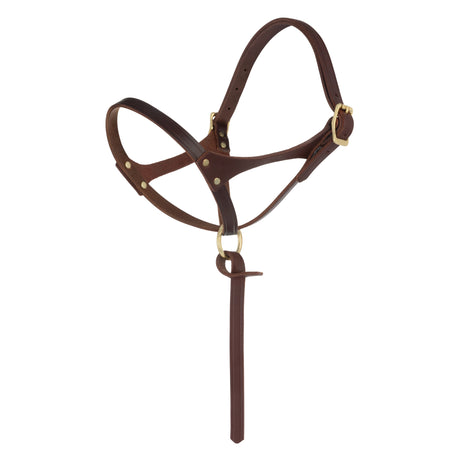 Figure 8 Foal Halter, Suckling