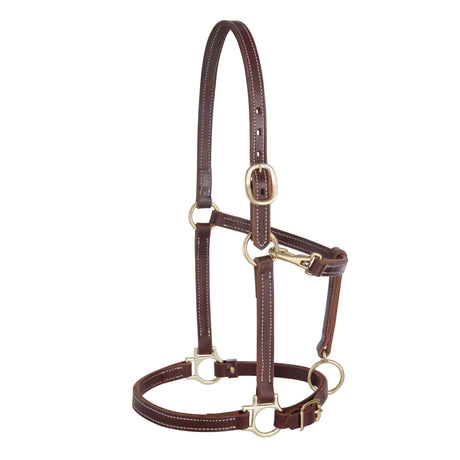 3/4" Track Halter, Mahogany