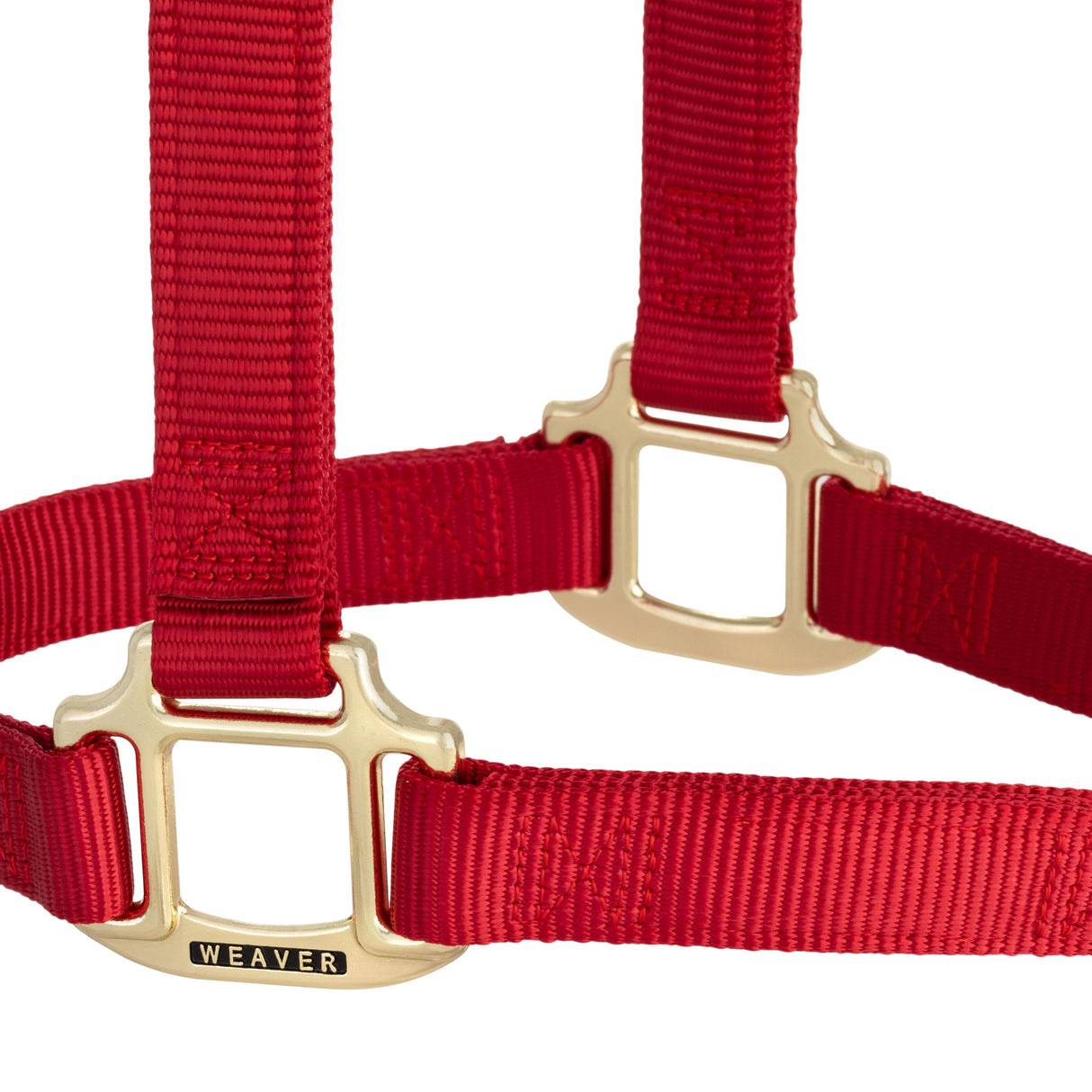 Original Non-Adjustable Halter, 1"