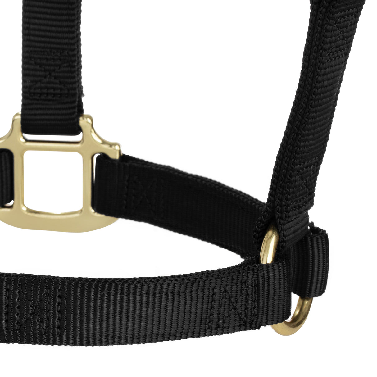 Original Non-Adjustable Halter, 1"