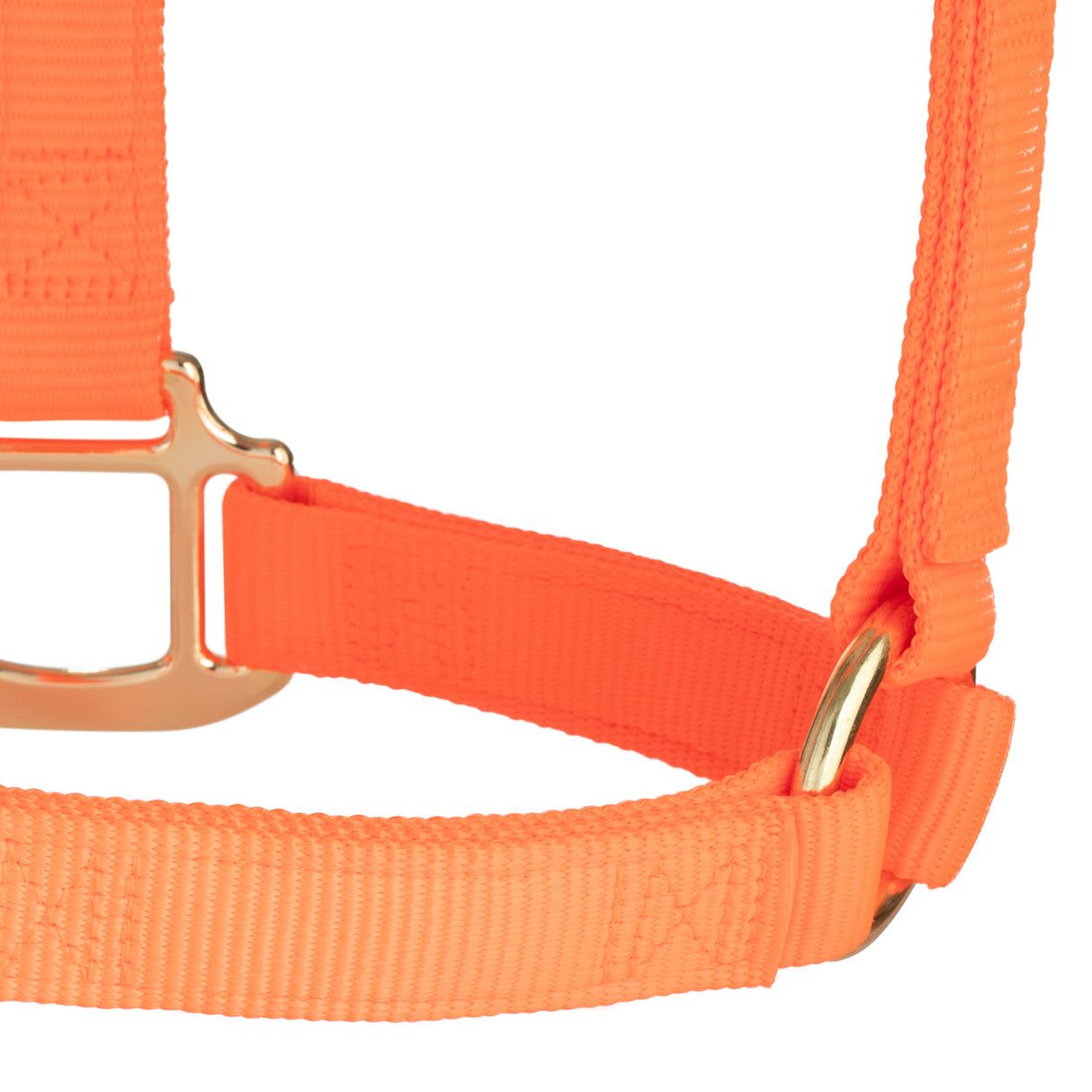 Original Non-Adjustable Halter, 1"