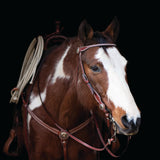 Texas Star Chestnut Browband Headstall